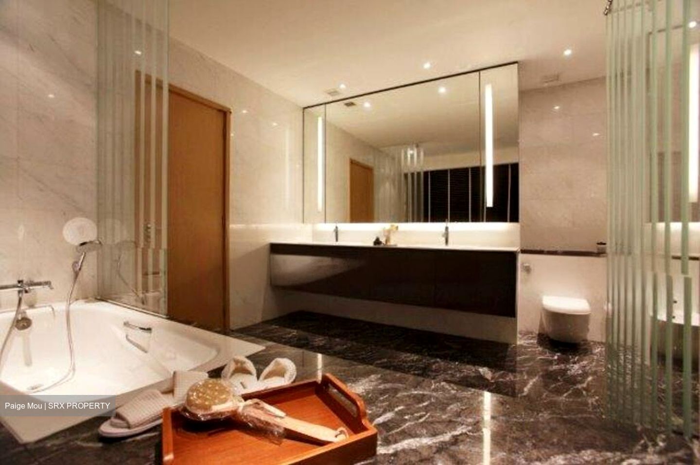 Tanglin Road (D10), Condominium #458572061